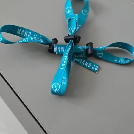 Pajurio Svajonems 公寓 帕兰加