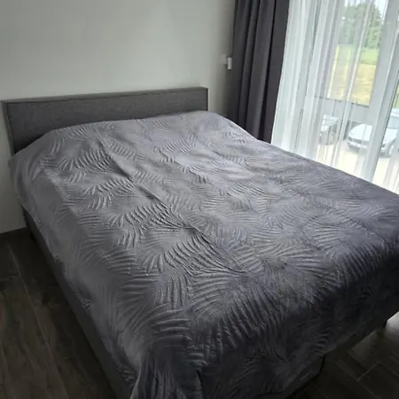 Pajurio Svajonems 帕兰加