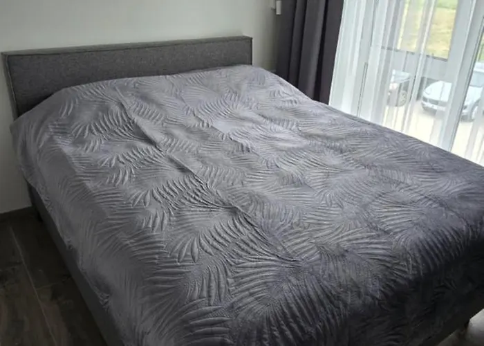 Pajurio Svajonems Palanga